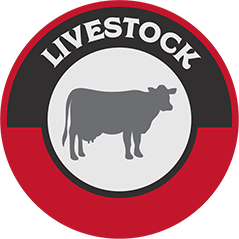 Livestock