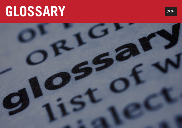 glossary